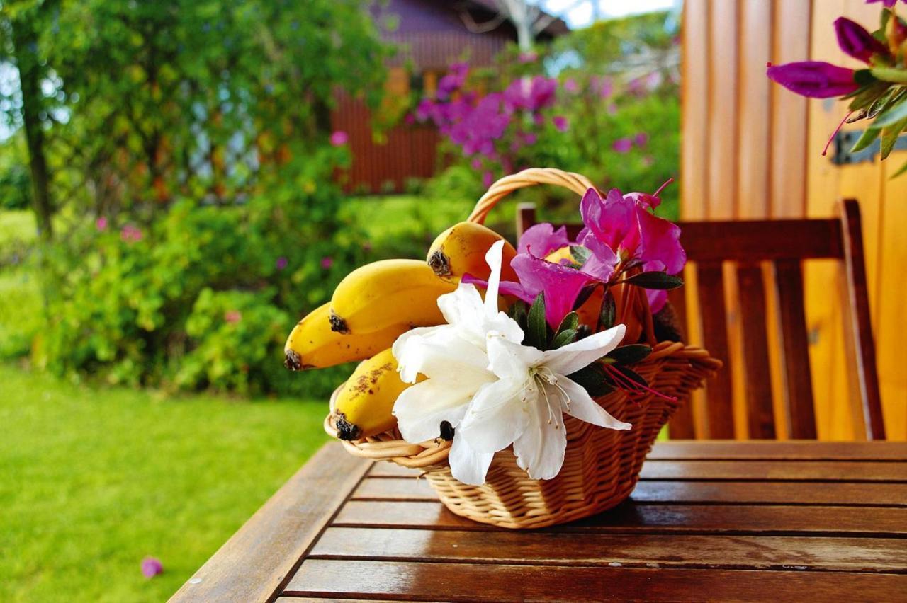 Holiday Homes Quinta Dos Curubas, Vila Franca Do Campo, Sao Miguel, Azores ภายนอก รูปภาพ
