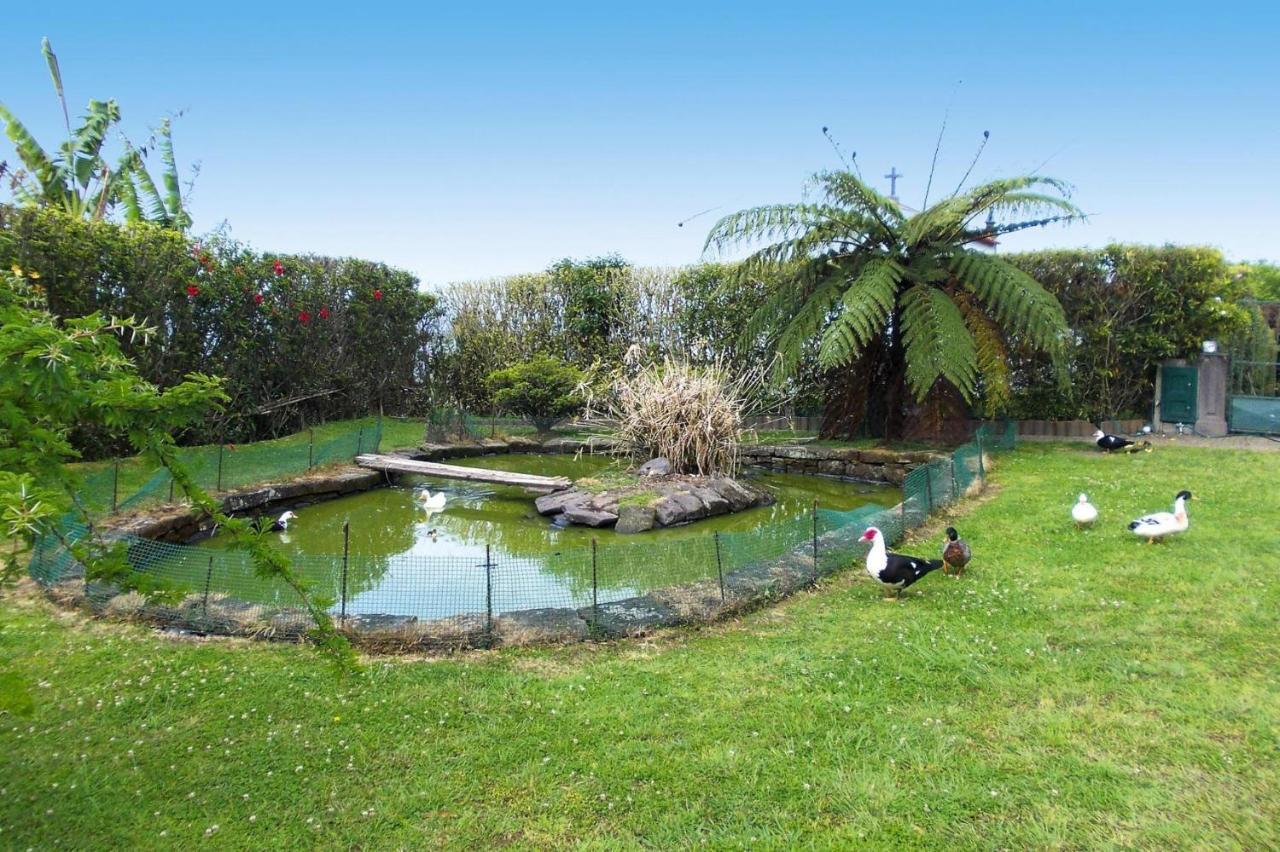 Holiday Homes Quinta Dos Curubas, Vila Franca Do Campo, Sao Miguel, Azores ภายนอก รูปภาพ