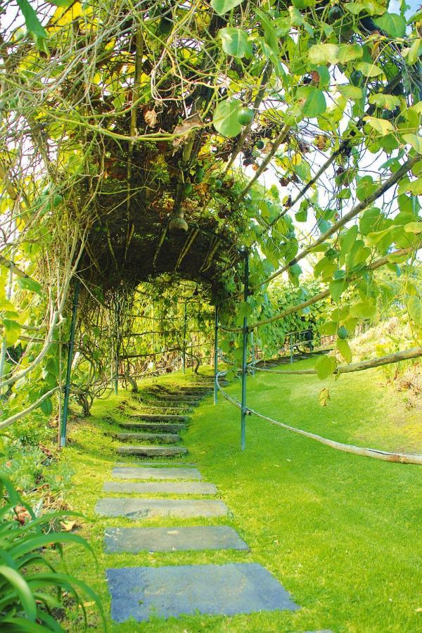Holiday Homes Quinta Dos Curubas, Vila Franca Do Campo, Sao Miguel, Azores ภายนอก รูปภาพ